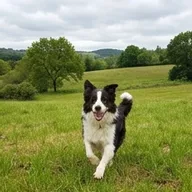 Photo de profil de Émilie R.