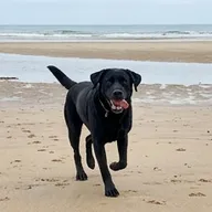 Photo de profil de Émilie D.