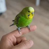 Photo de profil de Stéphane S.