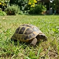 Photo de profil de Julien S.
