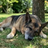 Photo de profil de Bruno V.